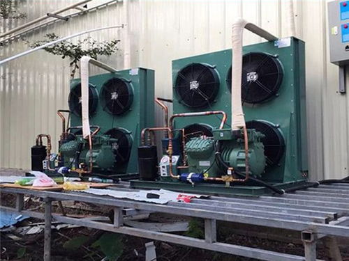 荔灣區(qū)冷庫工廠直營 健康為首，兼顧專業(yè)維修培訓(xùn)服務(wù)